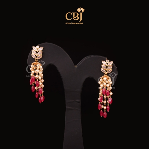 Fancy Earrings 13